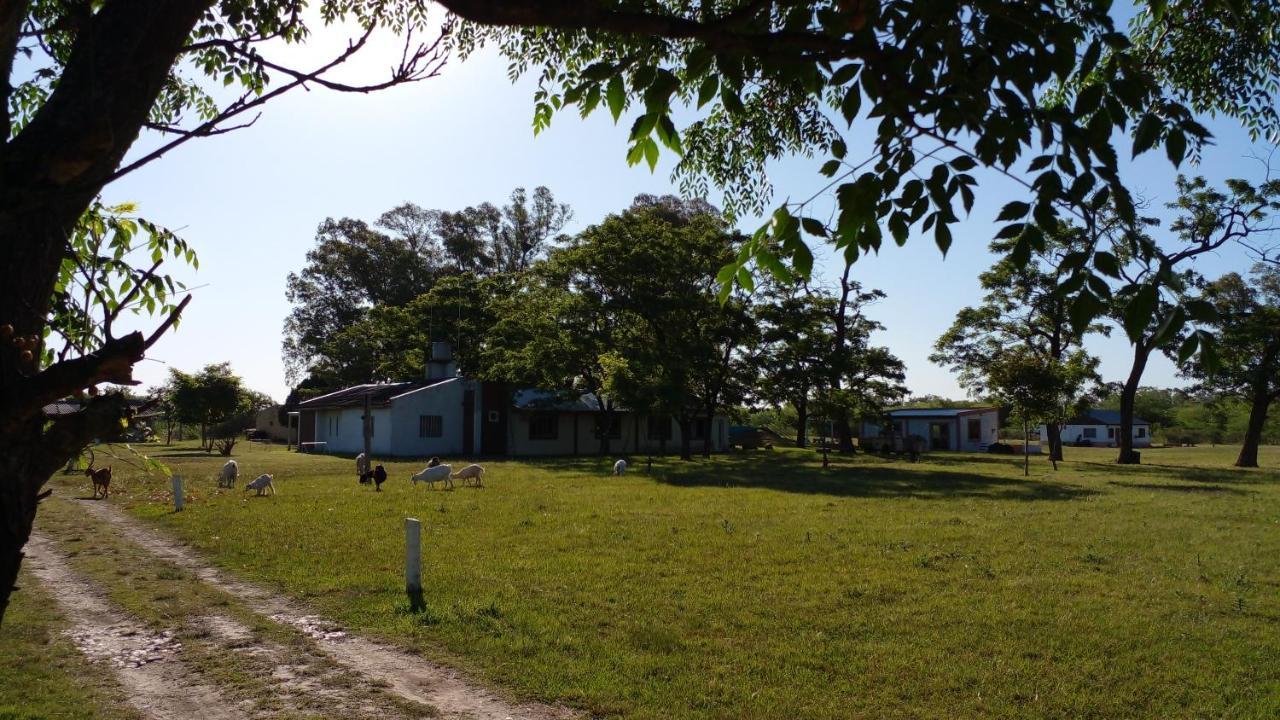 Los Arboles, Casa Completa A 5 Minutos Del Aeropuerto Ezeiza Ngoại thất bức ảnh